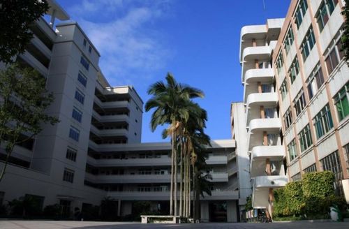 廣州有哪些高職大學 多少分可以報廣州高職高考學校