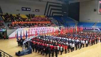 不一樣的視角看賽會(huì) 感謝這些溫暖的小清新——記福建師范大學(xué)福清分校的青春身影